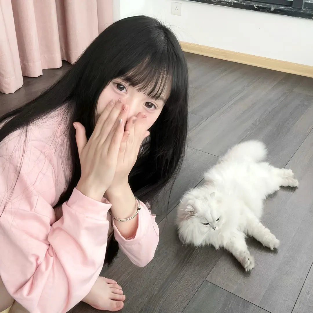 夜间法庭第二季